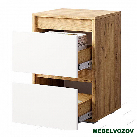 Тумба "Селфи" ТБ-22 детальное изображение от магазина mebelvozov.ru в Нижнем Новгороде