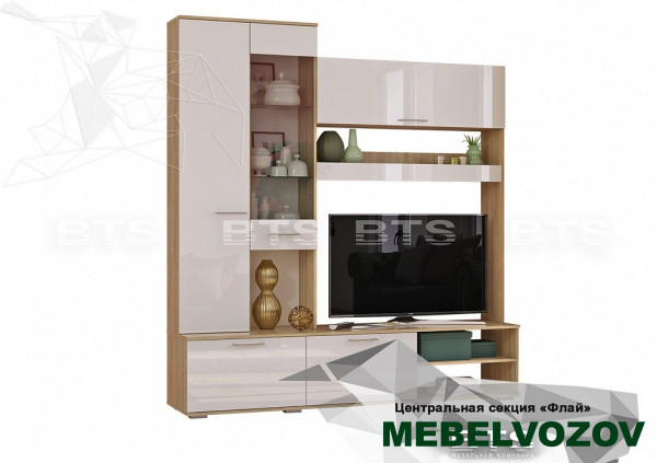 Центральная секция ЦС-1 Флай от интернет магазина Mebelvozov в Нижнем Новгороде
