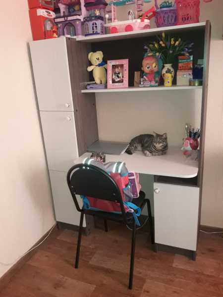 Магазин Школьник Кострома Каталог Товаров