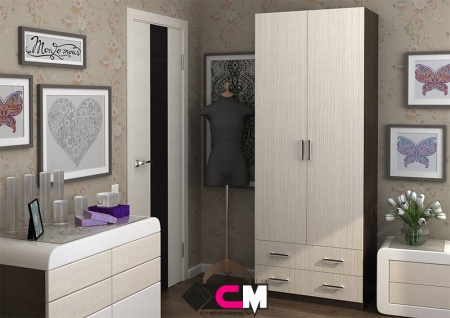 Шкаф 2х створчатый ДУЭТ от компании Мебельвозов в Нижнем Новгороде