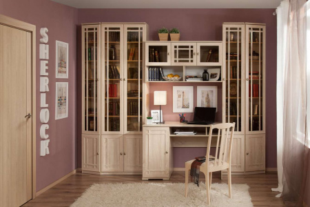 Шкаф для книг Sherlock 33 (библиотека)  от компании Мебельвозов