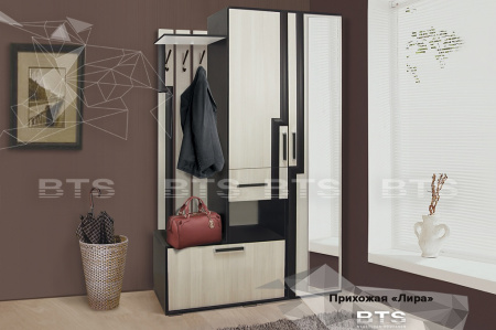 Прихожая Лира от магазина Мебельвозов в Нижнем Новгороде