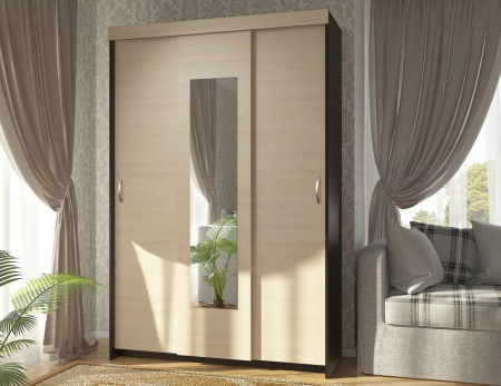 Шкаф-купе Комфорт 9 М от компании Мебельвозов в Нижнем Новгороде