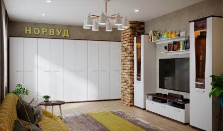 Шкаф для одежды Норвуд 12 от компании Мебельвозов в Нижнем Новгороде