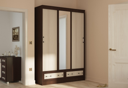 Шкаф-купе "Модерн" 1,65м  от компании Мебельвозов в Нижнем Новгороде