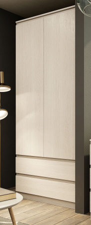 Бриз-1 Шкаф двухстворчатый комбинированный от компании Мебельвозов в Нижнем Новгороде