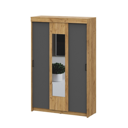 Шкаф-купе Вена ШК 101 от компании Мебельвозов в Нижнем Новгороде