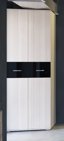 Шкаф 2х-дверный Сити 2 от компании Мебельвозов в Нижнем Новгороде