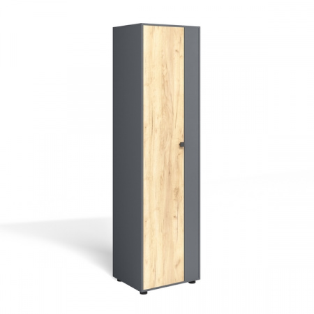 Шкаф распашной "Мини-Лайт" МЛ-2 (графит/дуб золотой крафт) от компании Мебельвозов в Нижнем Новгороде