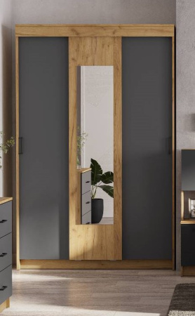 Шкаф-купе Вена ШК 101 от компании Мебельвозов в Нижнем Новгороде