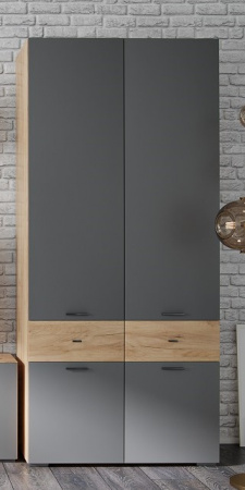 Шкаф 2-х створчатый Дублин от компании Мебельвозов в Нижнем Новгороде