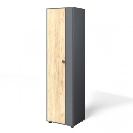Шкаф распашной "Мини-Лайт" МЛ-2 (графит/дуб золотой крафт) от компании Мебельвозов в Нижнем Новгороде