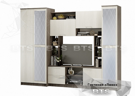 Гостиная Флора Люкс с зеркалом от интернет магазина Mebelvozov в Нижнем Новгороде