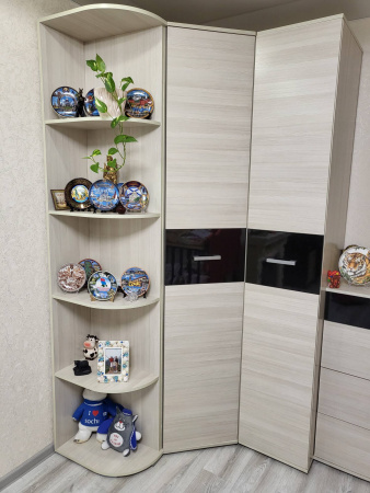 Шкаф-пенал Сити 1 от компании Мебельвозов в Нижнем Новгороде