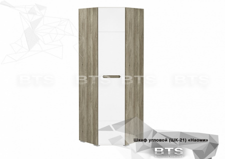 Шкаф угловой Наоми ШК-21 от компании Мебельвозов в Нижнем Новгороде