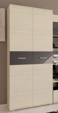 Шкаф в гостинную двухдверный Сити 32 от компании Мебельвозов в Нижнем Новгороде