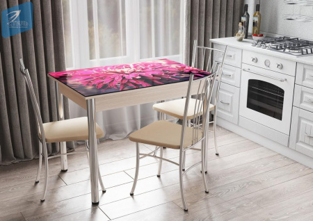 Обеденный стол №5 с фотопечатью от магазина Мебельвозов в Нижнем Новгороде