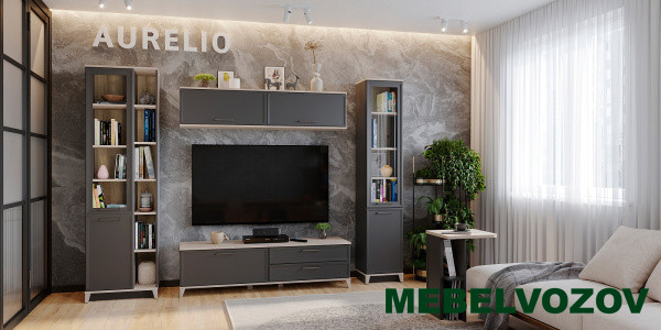 AURELIO гостиная. Комплект 1 (Антрацит-Блеквуд Сатиновый) от Mebelvozov в Нижнем Новгороде