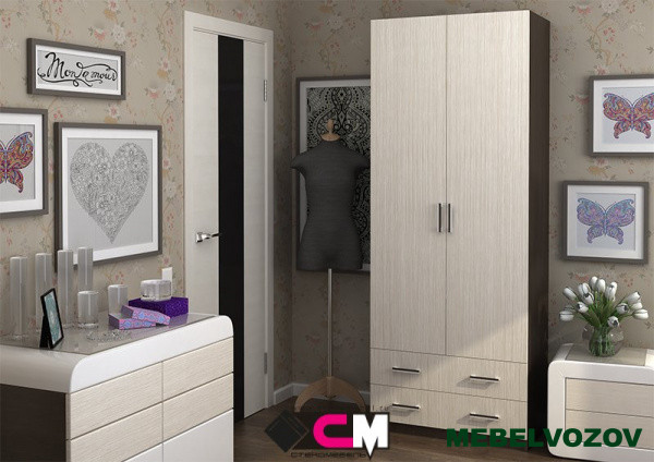 Шкаф 2х створчатый ДУЭТ от компании Мебельвозов в Нижнем Новгороде