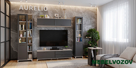 AURELIO гостиная. Комплект 1 (Антрацит-Блеквуд Сатиновый) от Mebelvozov в Нижнем Новгороде