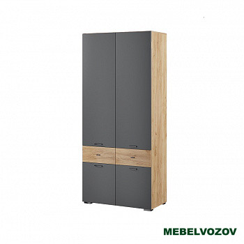 Шкаф 2-х створчатый Дублин от компании Мебельвозов в Нижнем Новгороде