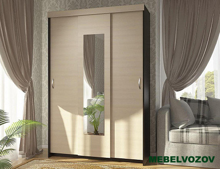 Шкаф-купе Комфорт 9 М от компании Мебельвозов в Нижнем Новгороде