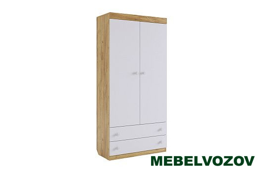 Форсаж Шкаф комбинированный с ящ. 2-створчатый (без фотопечати) детальное изображение от магазина mebelvozov.ru в Нижнем Новгороде