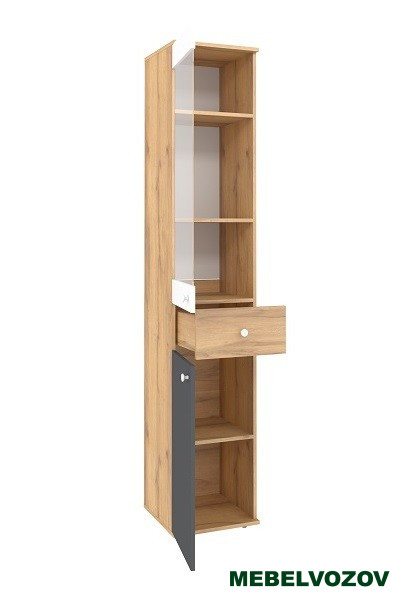 Шкаф МЦН Лойс 82 детальное изображение от магазина mebelvozov.ru в Нижнем Новгороде