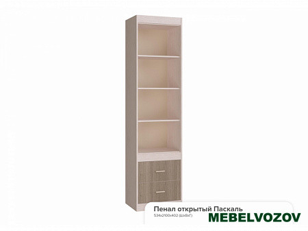 Детский пенал "Паскаль" открытый  детальное изображение от магазина mebelvozov.ru в Нижнем Новгороде