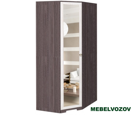 Шкаф угловой Марсель 10 (фасад зеркало) от компании Мебельвозов в Нижнем Новгороде