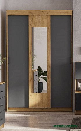 Шкаф-купе Вена ШК 101 от компании Мебельвозов в Нижнем Новгороде