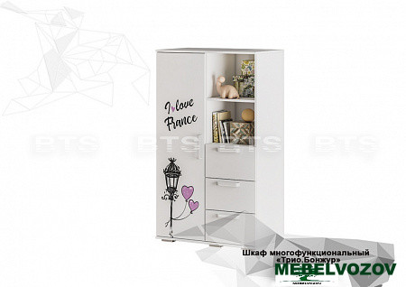 Шкаф многофункциональный ШК-10 Трио Бонжур детальное изображение от магазина mebelvozov.ru в Нижнем Новгороде