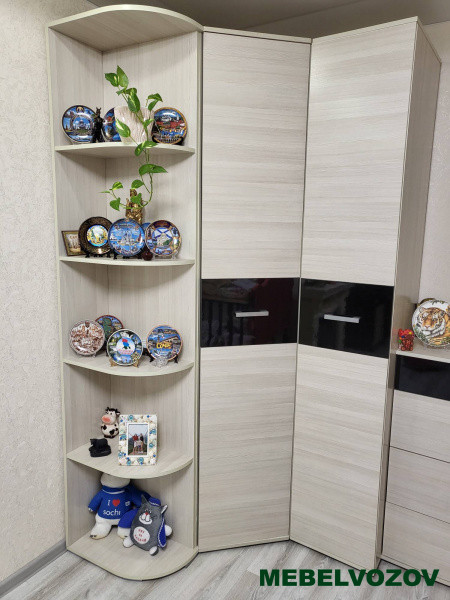 Шкаф-пенал Сити 1 от компании Мебельвозов в Нижнем Новгороде