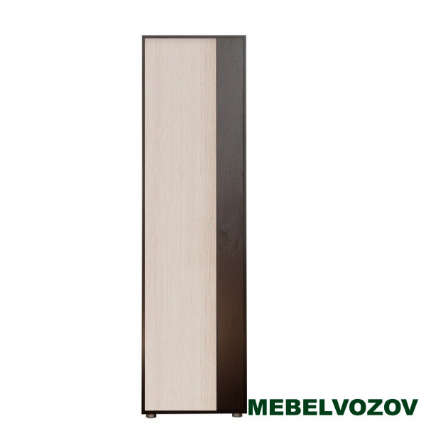 Шкаф распашной "Мини-Лайт" МЛ-2 (венге/ясень) - фото от компании Мебельвозов в Нижнем Новгороде Шкаф распашной "Мини-Лайт" МЛ-2 (венге/ясень) от компании Мебельвозов в Нижнем Новгороде