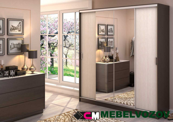 Шкаф-купе Альянс 2,0 м от компании Мебельвозов в Нижнем Новгороде