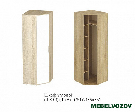 Шкаф угловой ШК-01 Сенди (STREET BOY) от компании Мебельвозов в Нижнем Новгороде