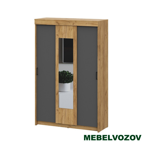 Шкаф-купе Вена ШК 101 от компании Мебельвозов в Нижнем Новгороде