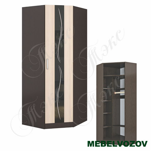 Шкаф угловой Эрика от компании Мебельвозов в Нижнем Новгороде
