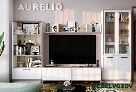 AURELIO гостиная. Комплект 1 (Белый-Блеквуд Сатиновый) от Mebelvozov в Нижнем Новгороде