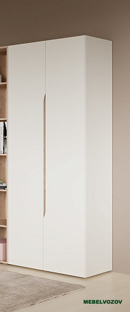 Муссон Шкаф двухстворчатый 13.198 от компании Мебельвозов в Нижнем Новгороде