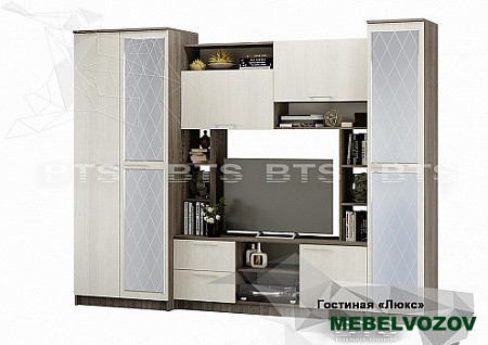 Гостиная Флора Люкс с зеркалом от интернет магазина Mebelvozov в Нижнем Новгороде