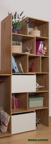 Стеллаж-трансформер Лойс 95 - фото от Mebelvozov в Нижнем Новгороде Стеллаж-трансформер Лойс 95 от Mebelvozov в Нижнем Новгороде