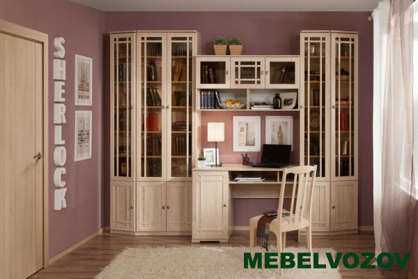 Шкаф для книг Sherlock 33 (библиотека)  от компании Мебельвозов