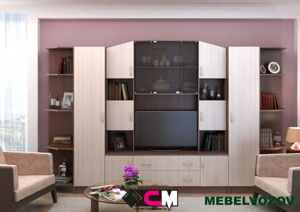 Стенка в гостиную Макарена ЛДСП от интернет магазина Mebelvozov в Нижнем Новгороде