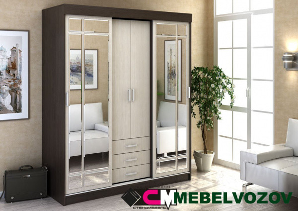 Шкаф купе ЛИДЕР 1К от компании Мебельвозов в Нижнем Новгороде
