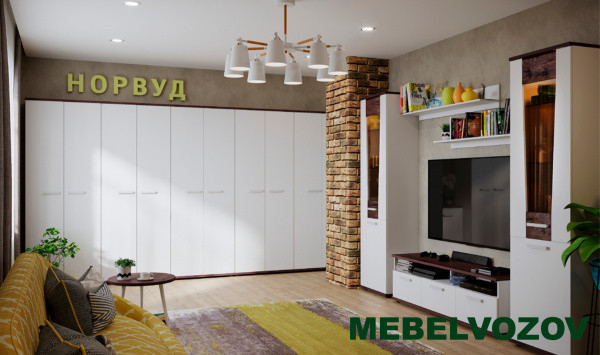 Шкаф для одежды Норвуд 12 от компании Мебельвозов в Нижнем Новгороде