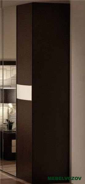 Шкаф с зеркалом распашной для одежды АМЕЛИ 11(Венге) от компании Мебельвозов в Нижнем Новгороде