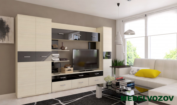 Шкаф в гостинную однодверный Сити 31 от компании Мебельвозов в Нижнем Новгороде