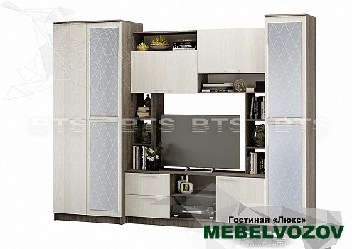 Гостиная Флора Люкс с зеркалом от интернет магазина Mebelvozov в Нижнем Новгороде