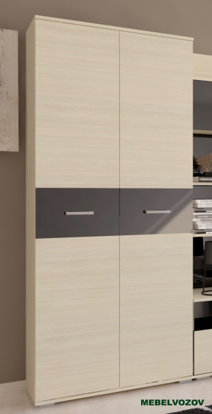 Шкаф в гостинную двухдверный Сити 32 от компании Мебельвозов в Нижнем Новгороде
